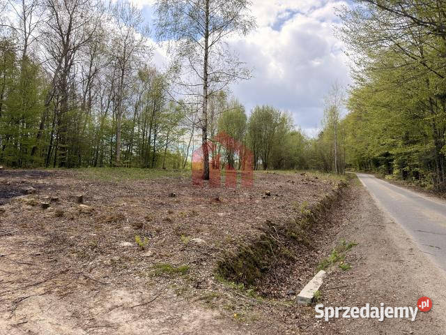 Działka 600m2 Zagórze podkarpackie