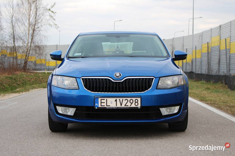 Skoda Octavia Salon Polska Benzyna 225000km Pabianice