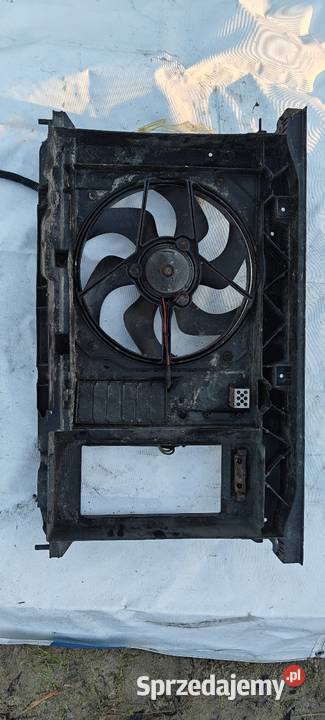 Citroen C4 PICASSO PAS PRZEDNI WZMOCNIENIE sprzedam