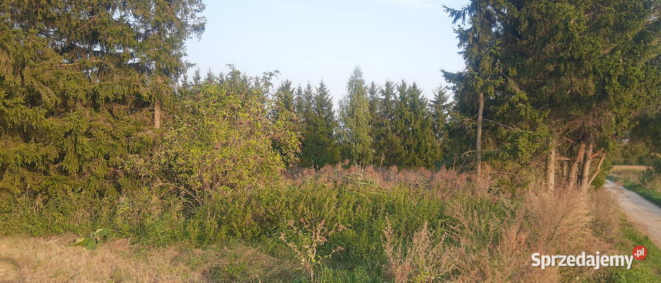 Mazury jeziorem warunki zabudowy Kruklin