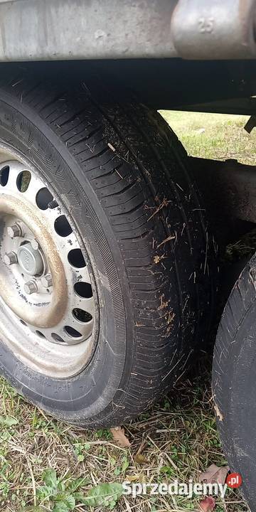 przyczepa rowerowa Schoon sprowadzona z Niemiec