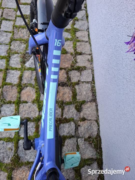 Rower Trek Precaliber 16 Babimost