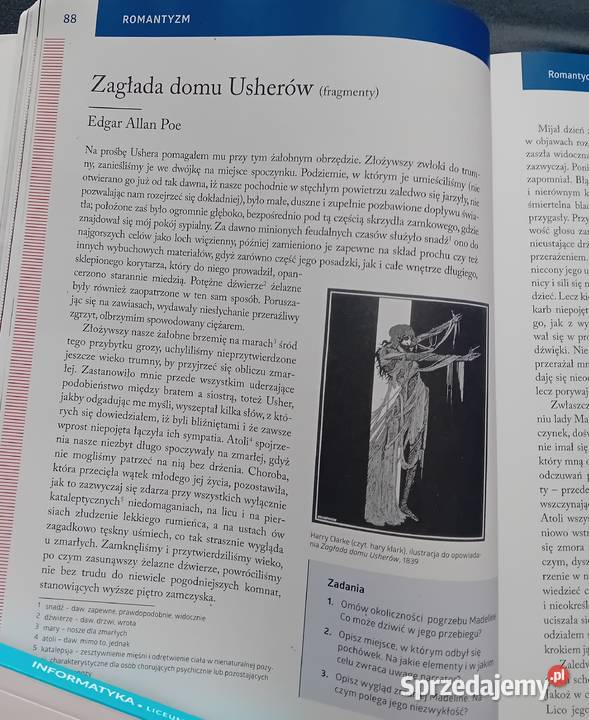 Język polski 2 Sztuka wyrazu Cz 1 Romantyzm wielkopolskie Koźminek