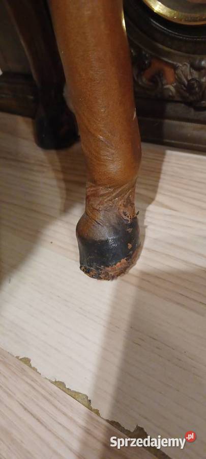 W POZNANIU KUP SKORZANEGO PRLOWSKIEGO KONIA