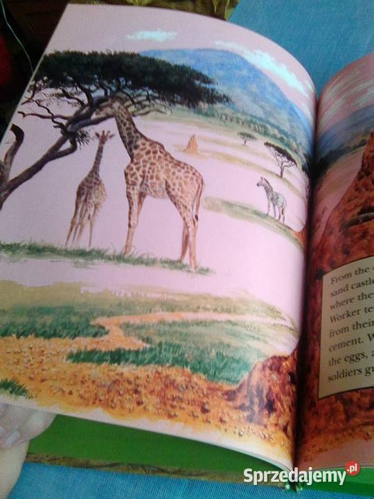 National Geographic Society Rok wydania 1991 mazowieckie Warszawa sprzedam