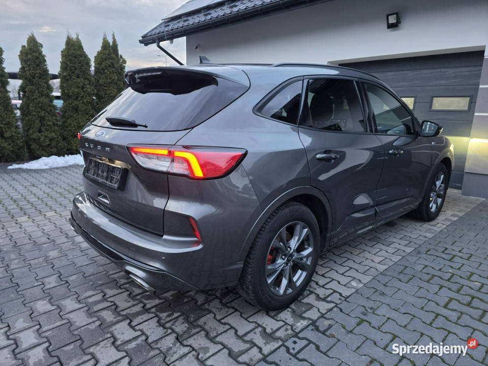 Ford Kuga EUROPAstlinemanualbezwypadkowykamera Żabno