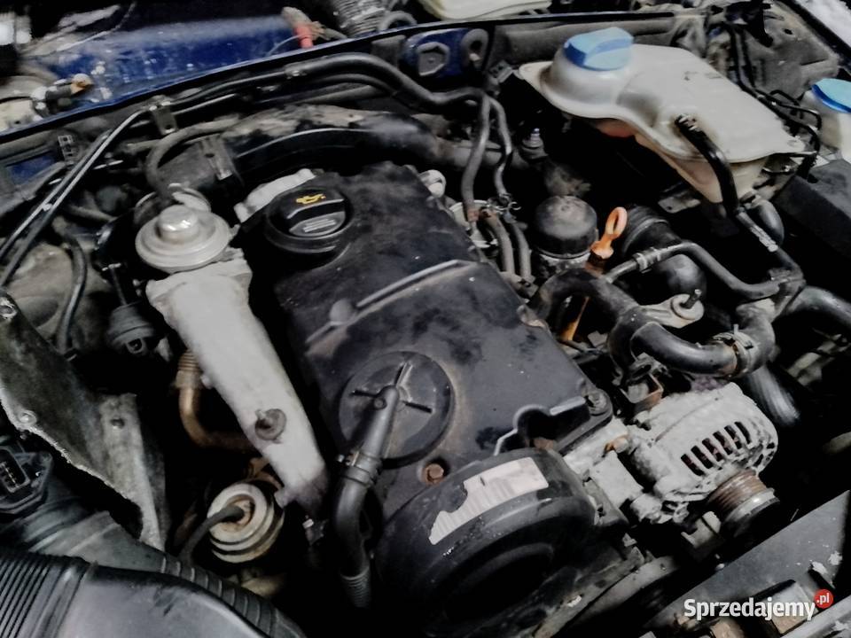 Silnik 19 TDI AVF Audi A4 B6 Passat B5 Skoda osobowe Załęże
