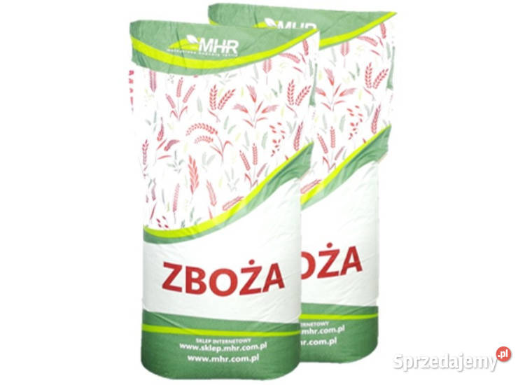 Materiał siewwny C1 pszenica jara MHR Jutrzenka Zboża Chojnice