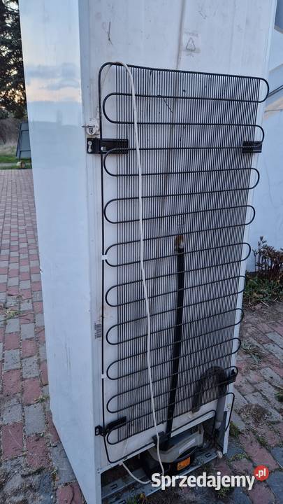 lodówka Electrolux ERB 4045 chłodziarko 60cm Lodówki i zamrażarki Lodówki i zamrażarki lubuskie