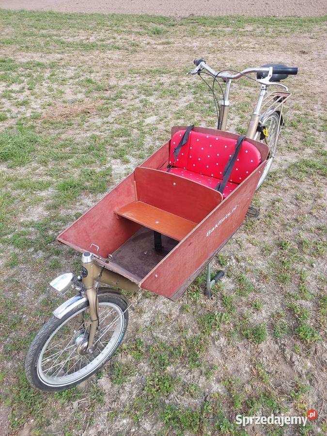 Rower cargo Szosowe kujawsko-pomorskie
