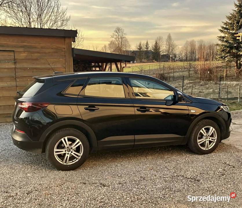 Opel Grandland X 16 CDTI 120 2018 Diesel 168 Zalasowa