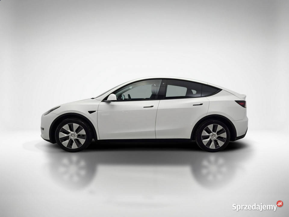 Tesla Y Y RWD Z Polskiego Salonu Faktura Vat Warszawa