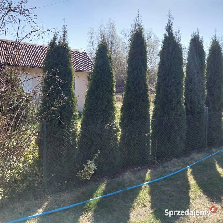 Działka ROD NEPTUN Szosa Polska Szczecin