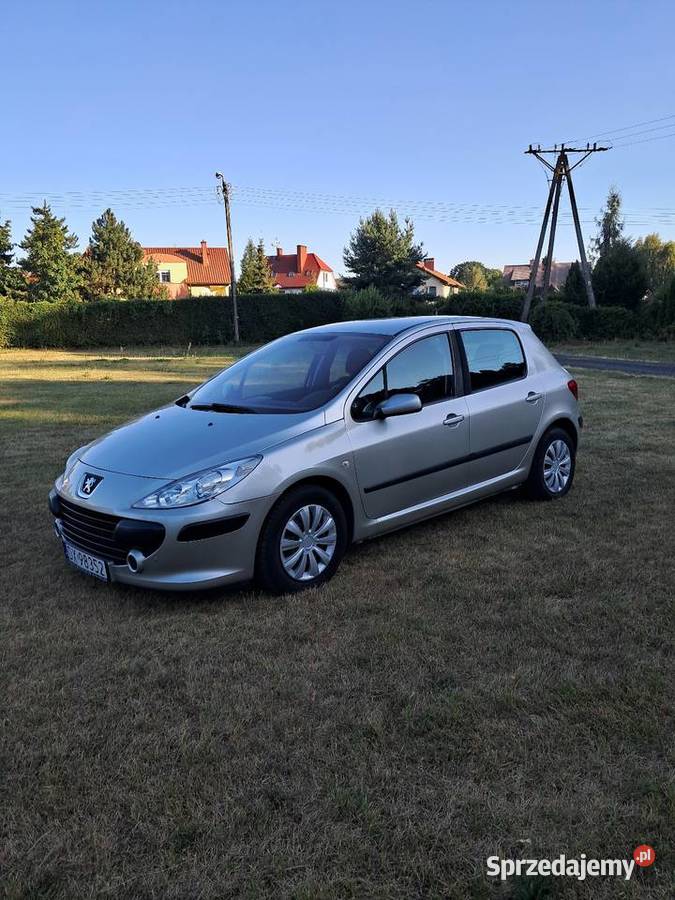 Peugeot 307 14 Benzyna 2005 Wrocław