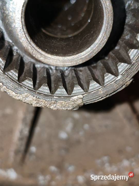 Koło R19 Ural Tourist M67 Leszno