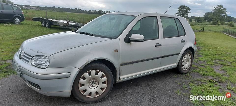 Volkswagen Golf IV 16SR 100 DB StanKlimaHakNa manualna Wałcz
