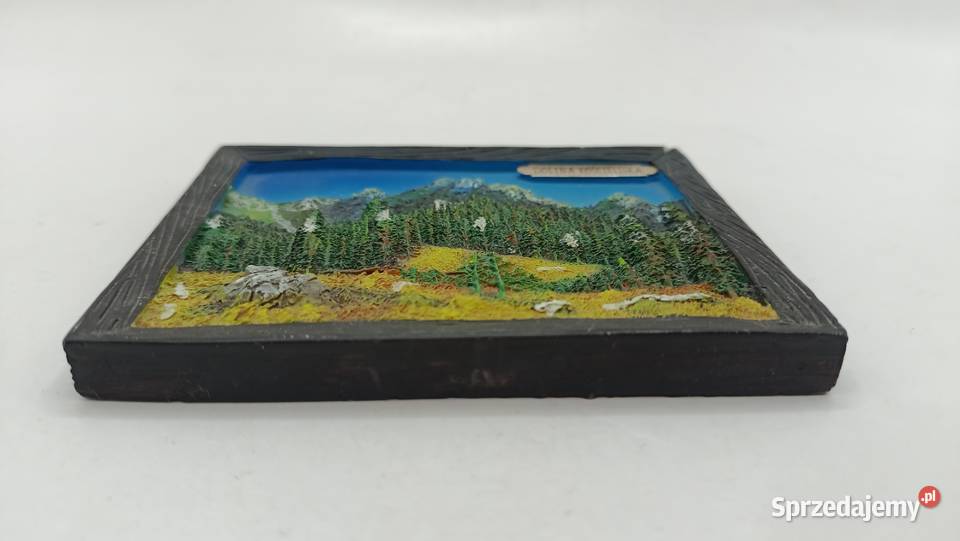 Obrazek pamiątkowy Tatry Dolina Kościeliska lubelskie Zamość