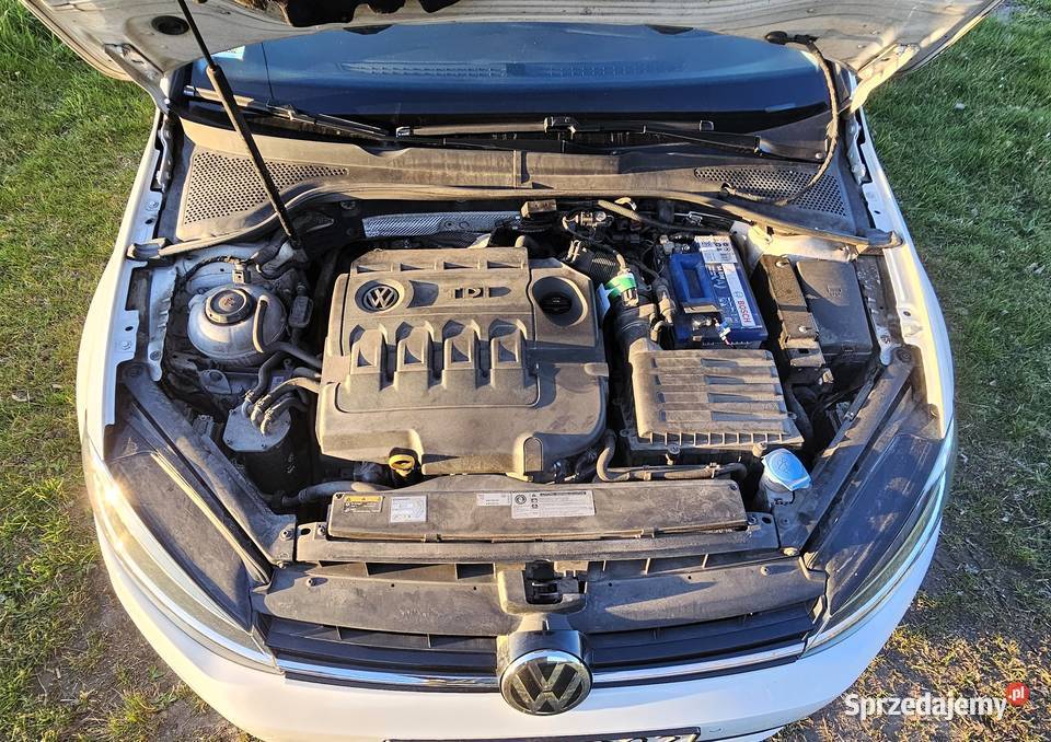 Volkswagen Golf VII 16 TDI 115 2018 Salon Polska CD Aleksandrów Łódzki sprzedam