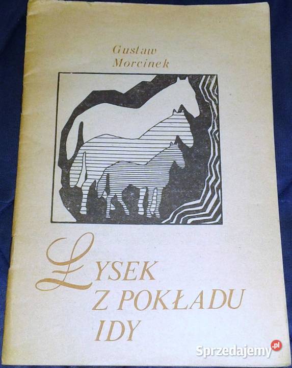 Łysek z pokładu Idy Gustaw Morcinek