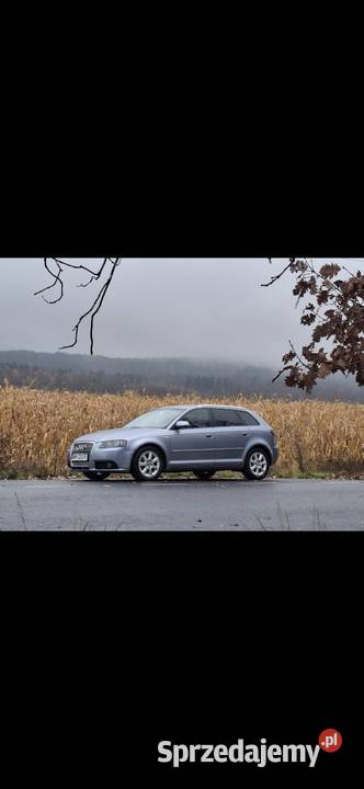 Audi a3 8p centralny zamek dolnośląskie Sobótka