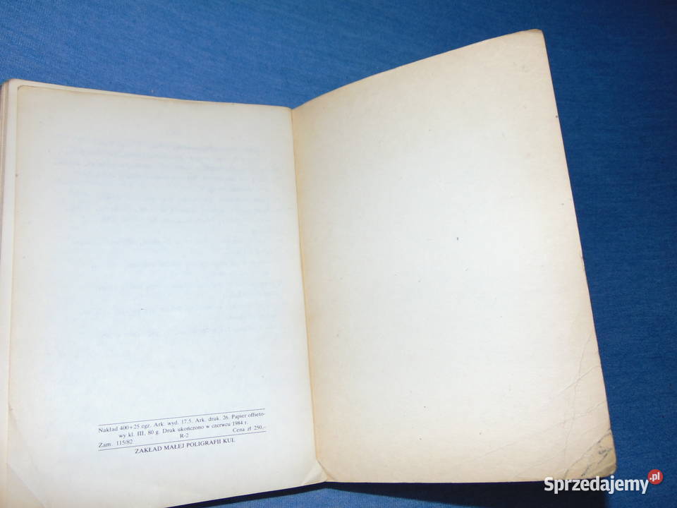 Zagadnienie czasu przedstawionego w obrazie Lublin