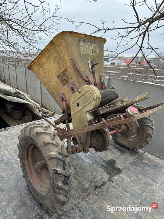 Rozsiewacz Kos Skalbmierz