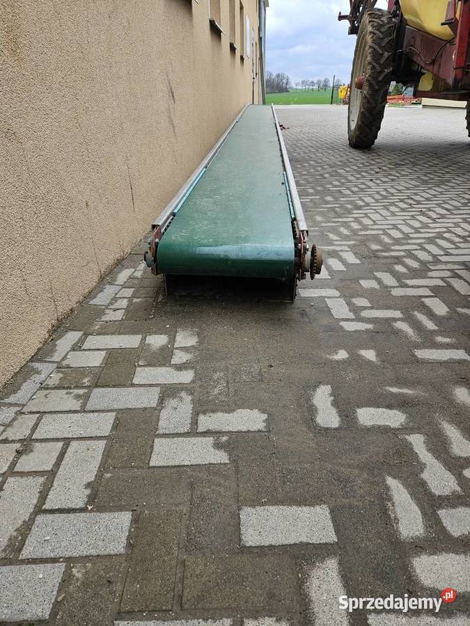 Przenośnik taśmowy kujawsko-pomorskie