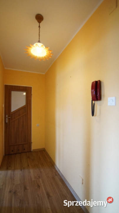 Sprzedaż kawalerka 3030 m2 niska zabudowa Pużaka Mieszkania Opole