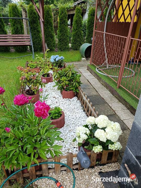 Działka ROD Zacisze Puławy