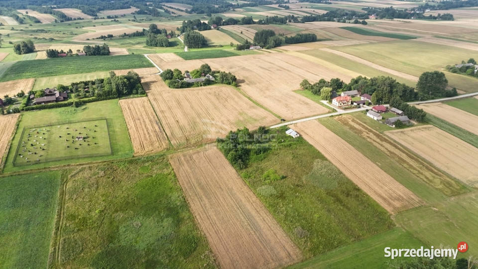 Sprzedam siedlisko w Bożej Woli gm Adamów utwardzona Boża Wola