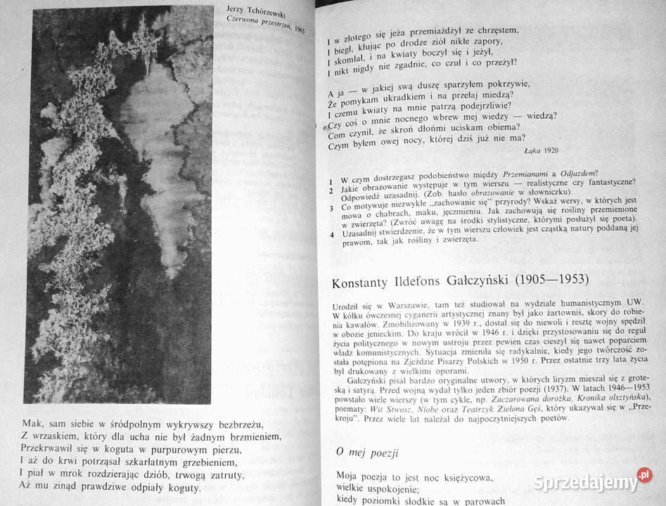 Język polski kl 3 ZDZ Janina Dietrich Chełm