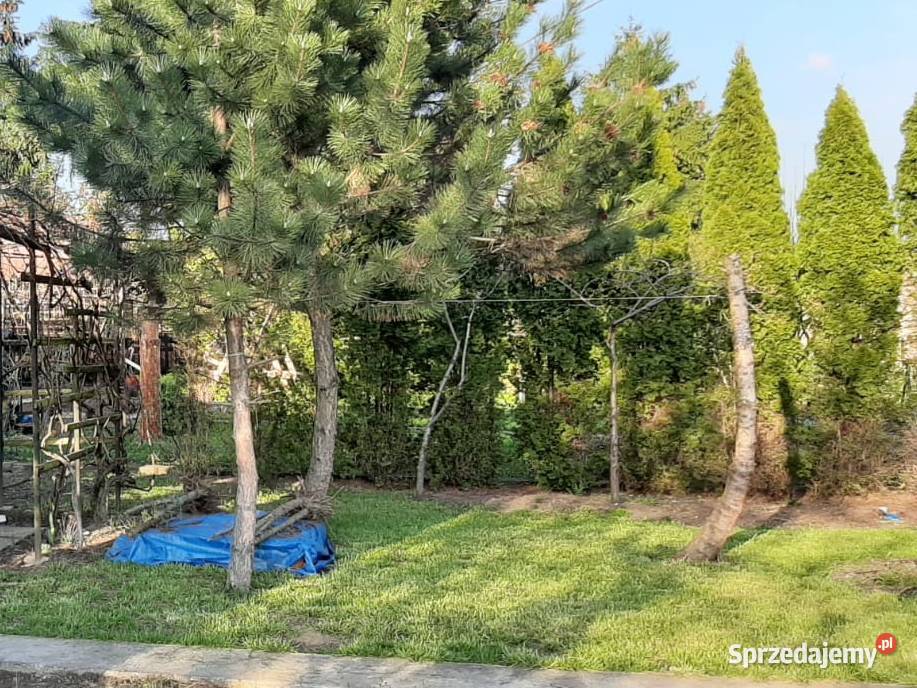 Ogródek działkowy ROD Leliwa małopolskie Tarnów