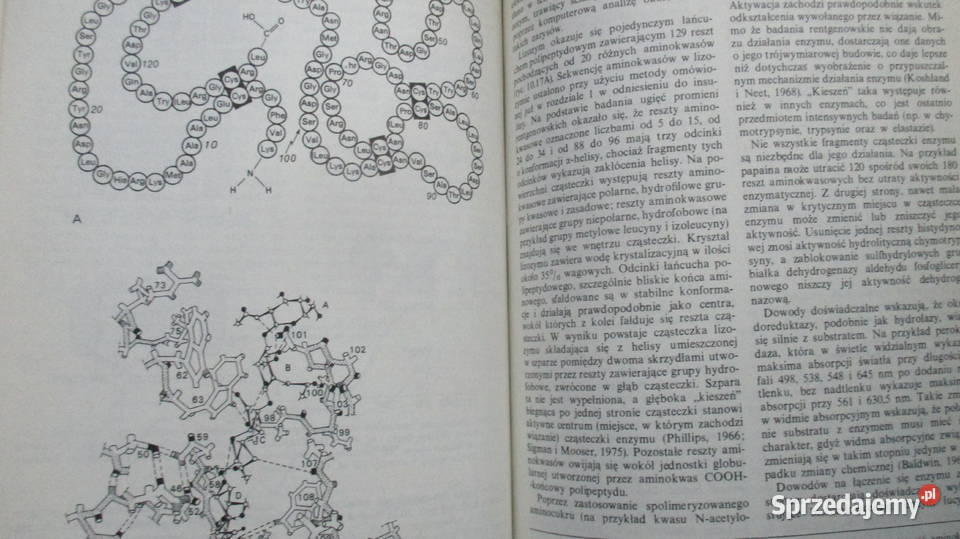 Fizjologia komórki Giese fizjologia komórka Łódź