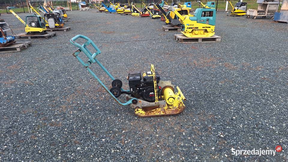 ZAGĘSZCZARKA PŁYTA AMMANN AVP 1240 851 bomag Trzebnica
