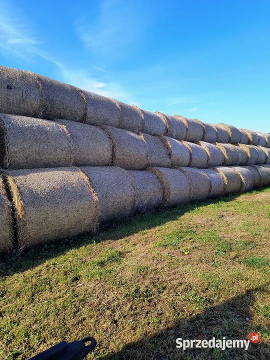 Sprzedam słomę pszenną sprzedam