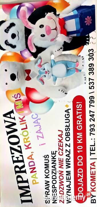 Imprezowy miś królik i panda Września