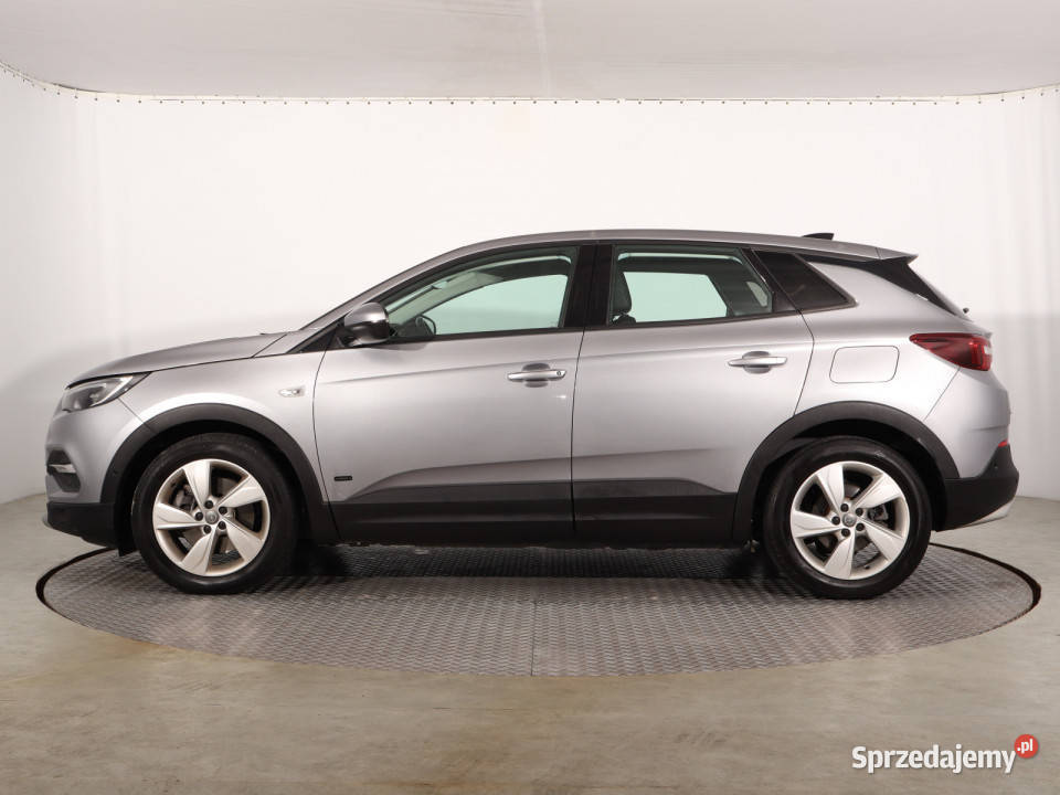 Opel Grandland Plugin Hybrid4 śląskie