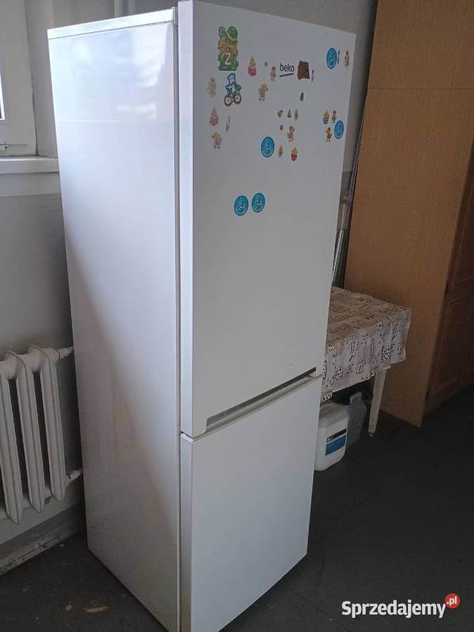 Lodówka z zamrażarnikiem Beko 61cm