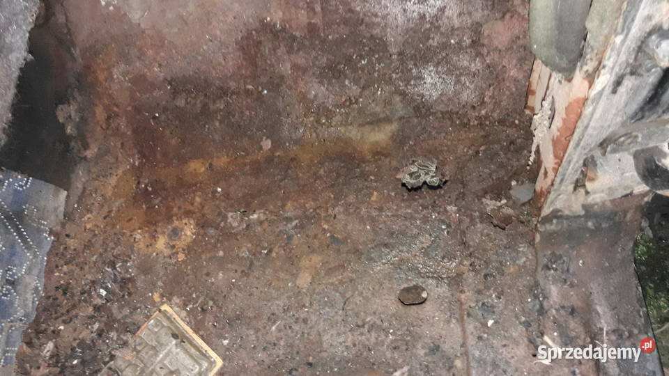 Wołga gaz m 21 tanio 5000 świętokrzyskie Chęciny