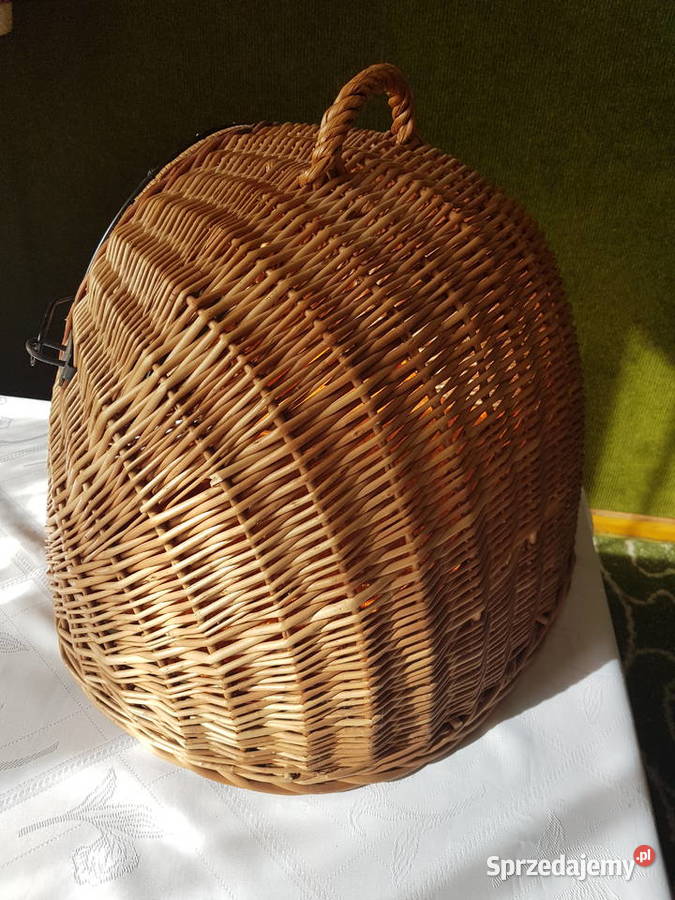 Transporter kota Tarnowskie Góry