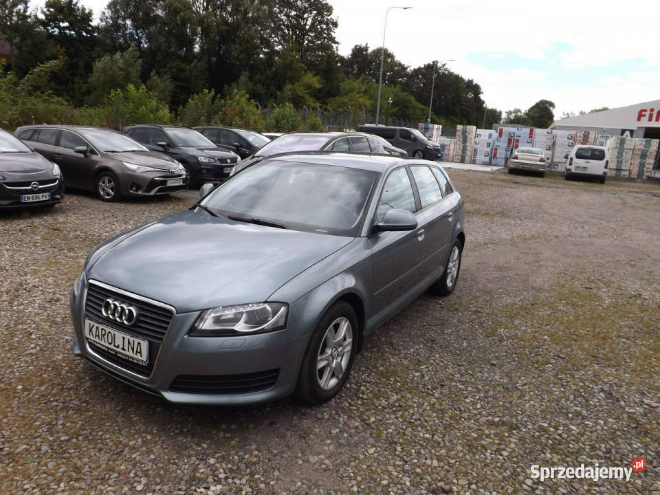 Audi A3 Audi A3 20 TDI 140 8P 20032012 1968cm3 Słupsk sprzedam