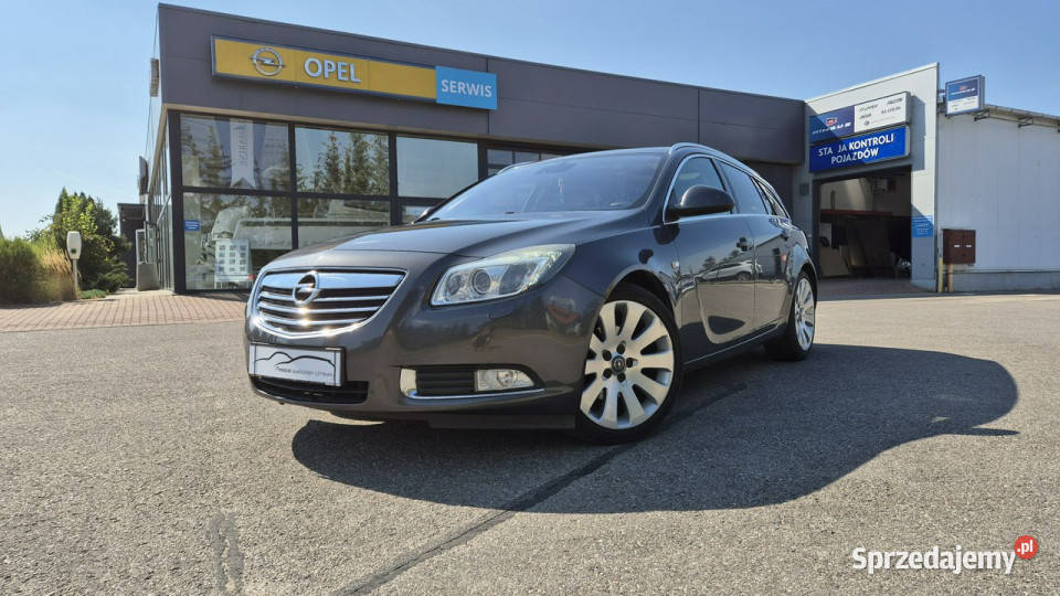 Opel Insignia A 20082017 lakier metallic Giżycko sprzedam