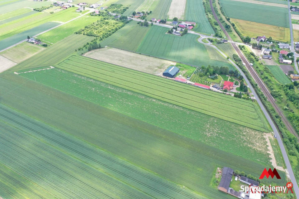 Działka 23519m2 Kowal sprzedam