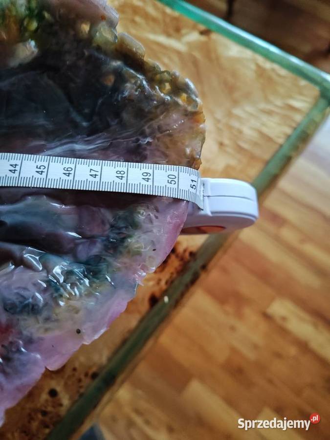 Patera z żywicy epoksydowej Nowy Tomyśl