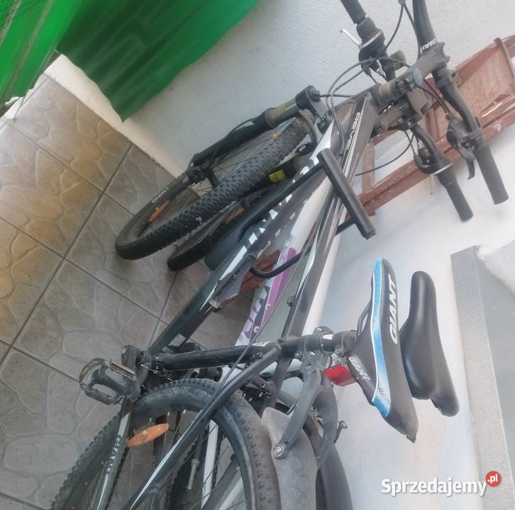 Rower GIANT REVEL Łódź