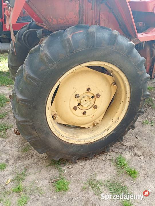 Władimirec rusek t25 Udrzynek