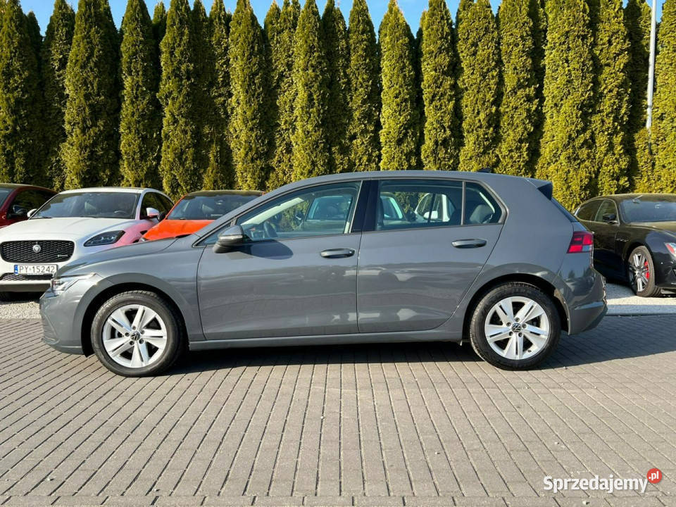 Volkswagen Golf 20 TDI Full LED Ambiente Kamera czujnik zmierzchu Motoryzacja Baranowo