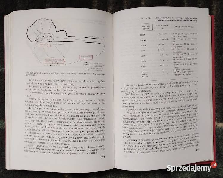 Fizjologia zwierząt Bełchatów