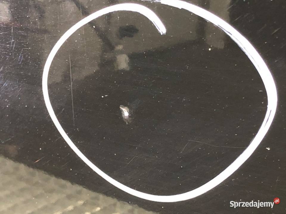 DRZWI LEWY PRZÓD RENAULT SCENIC III Minivan