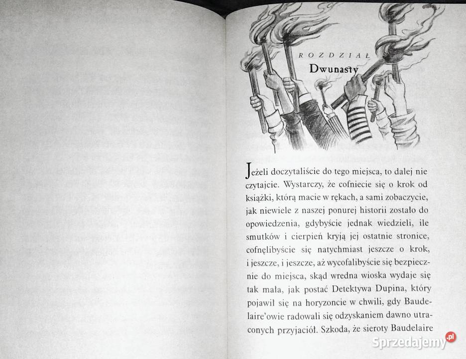 Wredna wioska Seria niefortunnych zdarzeń Lemony Rok wydania 2005